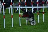 Royal Canin Masters 2025 geldrop
