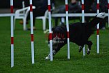 Royal Canin Masters 2025 geldrop