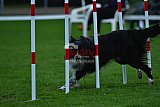 Royal Canin Masters 2025 geldrop