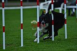 Royal Canin Masters 2025 geldrop