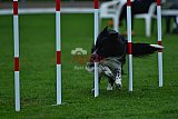 Royal Canin Masters 2025 geldrop
