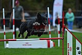 Royal Canin Masters 2025 geldrop