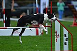 Royal Canin Masters 2025 geldrop