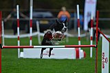Royal Canin Masters 2025 geldrop