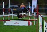 Royal Canin Masters 2025 geldrop