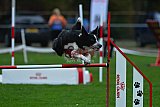 Royal Canin Masters 2025 geldrop