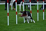 Royal Canin Masters 2025 geldrop