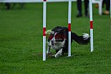 Royal Canin Masters 2025 geldrop
