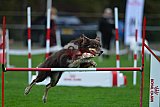 Royal Canin Masters 2025 geldrop