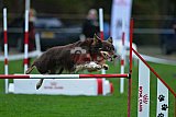 Royal Canin Masters 2025 geldrop