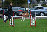 Royal Canin Masters 2025 geldrop