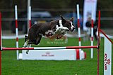 Royal Canin Masters 2025 geldrop
