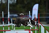 Royal Canin Masters 2025 geldrop