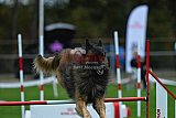 Royal Canin Masters 2025 geldrop