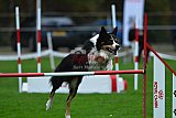 Royal Canin Masters 2025 geldrop