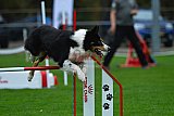 Royal Canin Masters 2025 geldrop