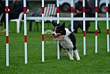 Royal Canin Masters 2025 geldrop
