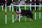Royal Canin Masters 2025 geldrop