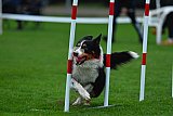 Royal Canin Masters 2025 geldrop