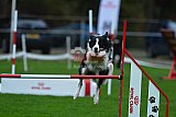 Royal Canin Masters 2025 geldrop
