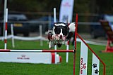 Royal Canin Masters 2025 geldrop