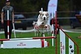 Royal Canin Masters 2025 geldrop