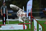 Royal Canin Masters 2025 geldrop