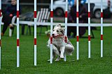 Royal Canin Masters 2025 geldrop