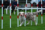 Royal Canin Masters 2025 geldrop