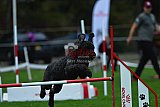 Royal Canin Masters 2025 geldrop