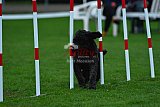 Royal Canin Masters 2025 geldrop