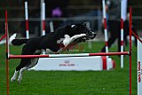 Royal Canin Masters 2025 geldrop