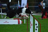 Royal Canin Masters 2025 geldrop