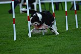 Royal Canin Masters 2025 geldrop