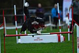 Royal Canin Masters 2025 geldrop