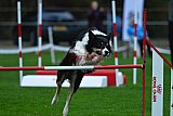 Royal Canin Masters 2025 geldrop