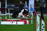 Royal Canin Masters 2025 geldrop