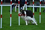 Royal Canin Masters 2025 geldrop