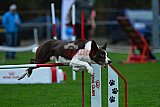 Royal Canin Masters 2025 geldrop
