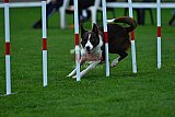 Royal Canin Masters 2025 geldrop