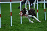 Royal Canin Masters 2025 geldrop