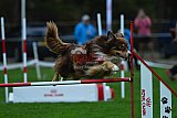 Royal Canin Masters 2025 geldrop