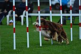 Royal Canin Masters 2025 geldrop