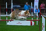 Royal Canin Masters 2025 geldrop