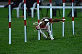 Royal Canin Masters 2025 geldrop