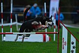 Royal Canin Masters 2025 geldrop