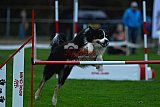 Royal Canin Masters 2025 geldrop