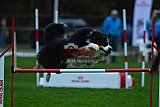 Royal Canin Masters 2025 geldrop