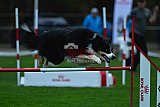 Royal Canin Masters 2025 geldrop
