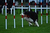 Royal Canin Masters 2025 geldrop